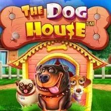 the dog house